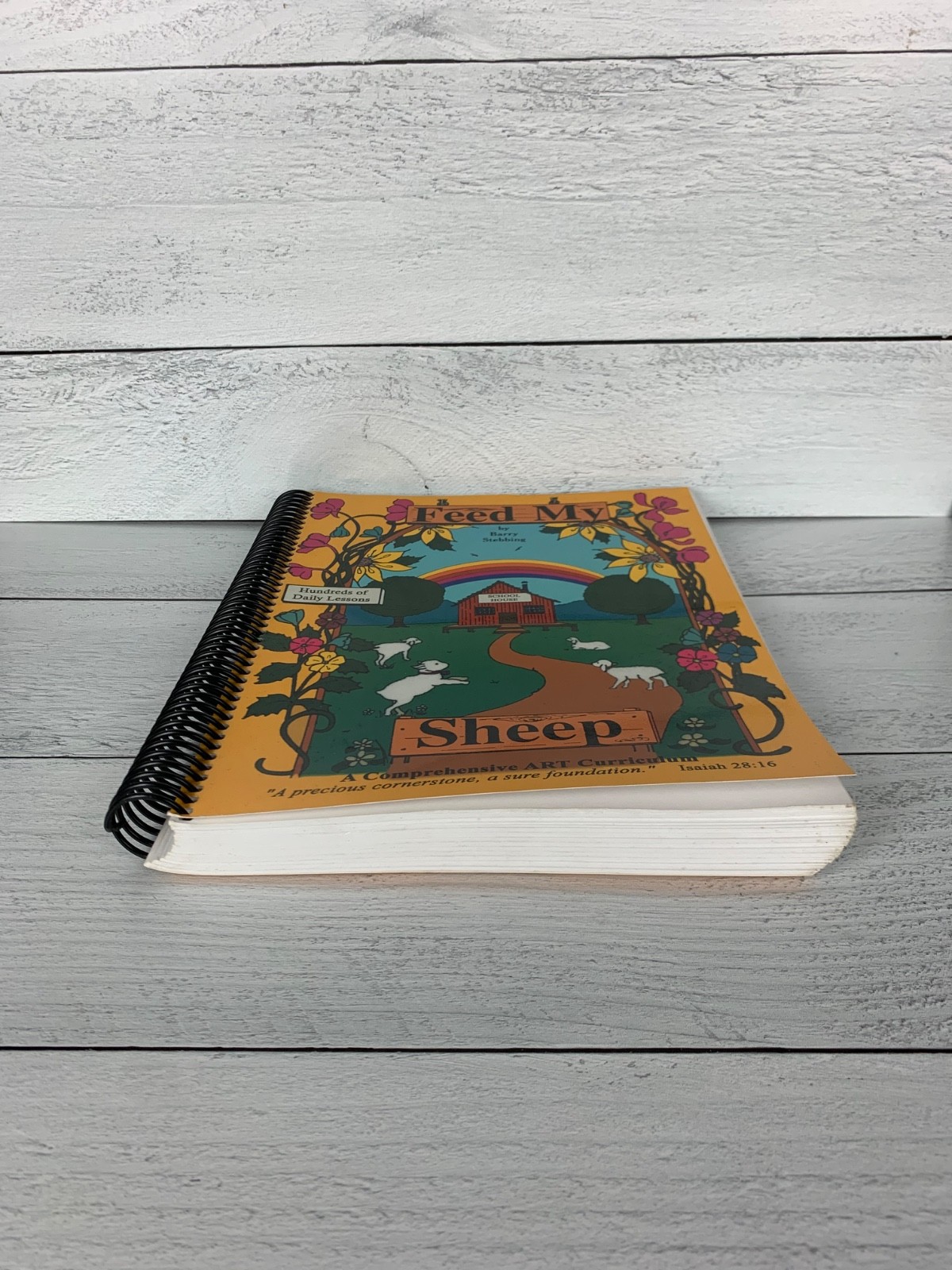 Feed My Sheep Art Curriculum Spiral bound by Barry Stebbing Book Homeschool