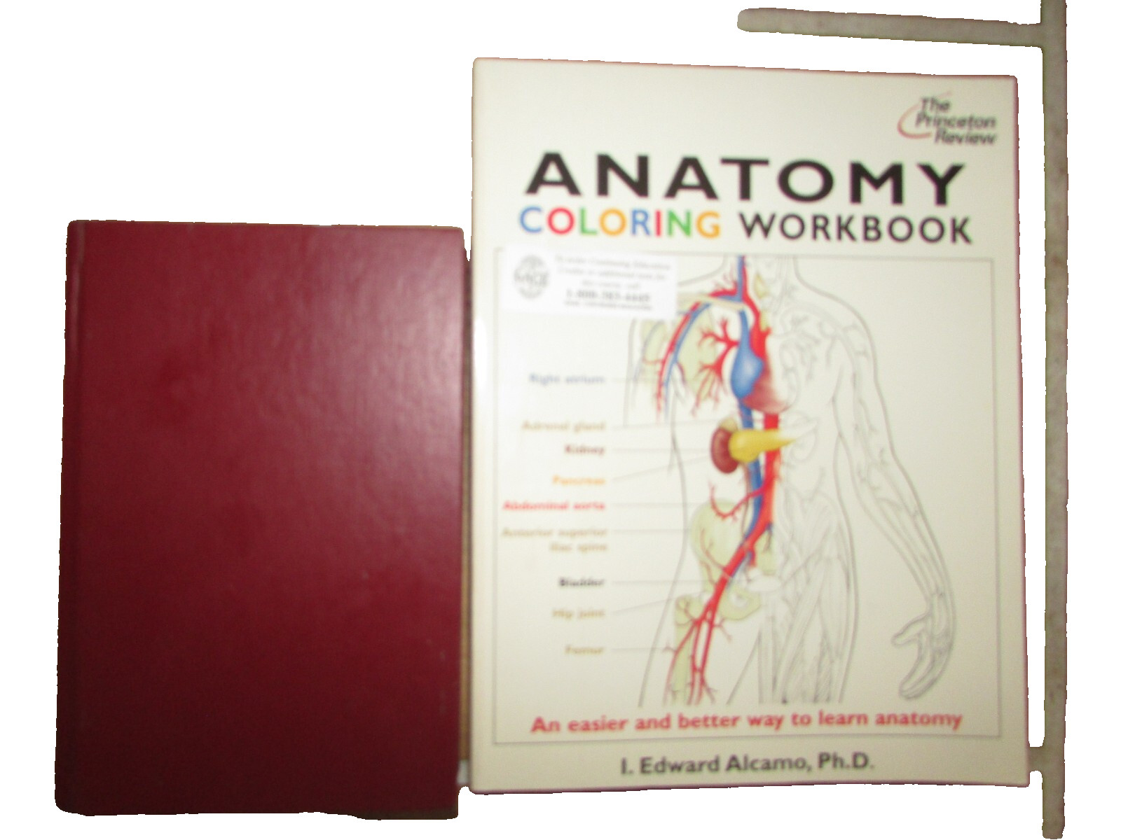 Gray’s Pocket Anatomy by Charles H. Leonard 1984 HC; Anatomy Coloring WorkBook